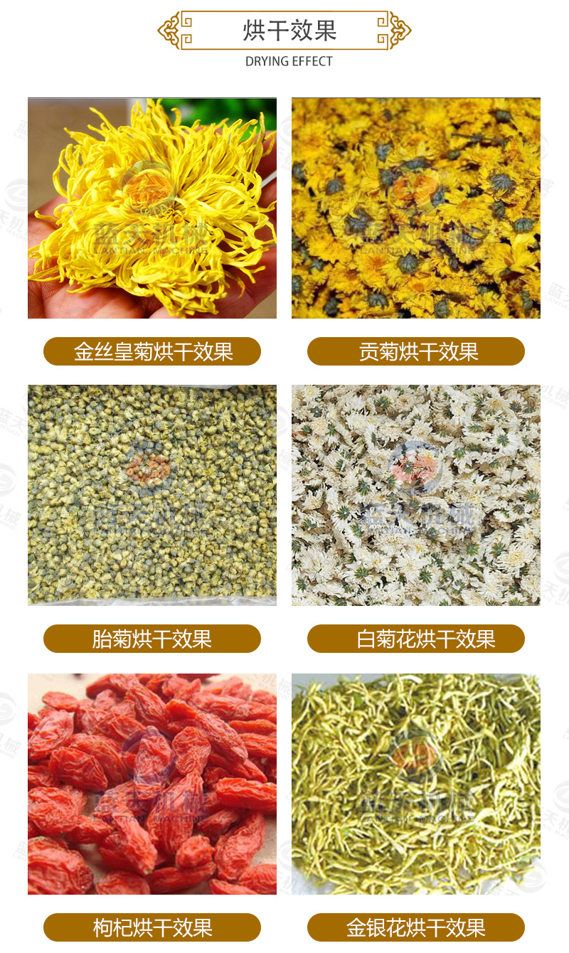 菊花網(wǎng)帶式烘干機烘干效果