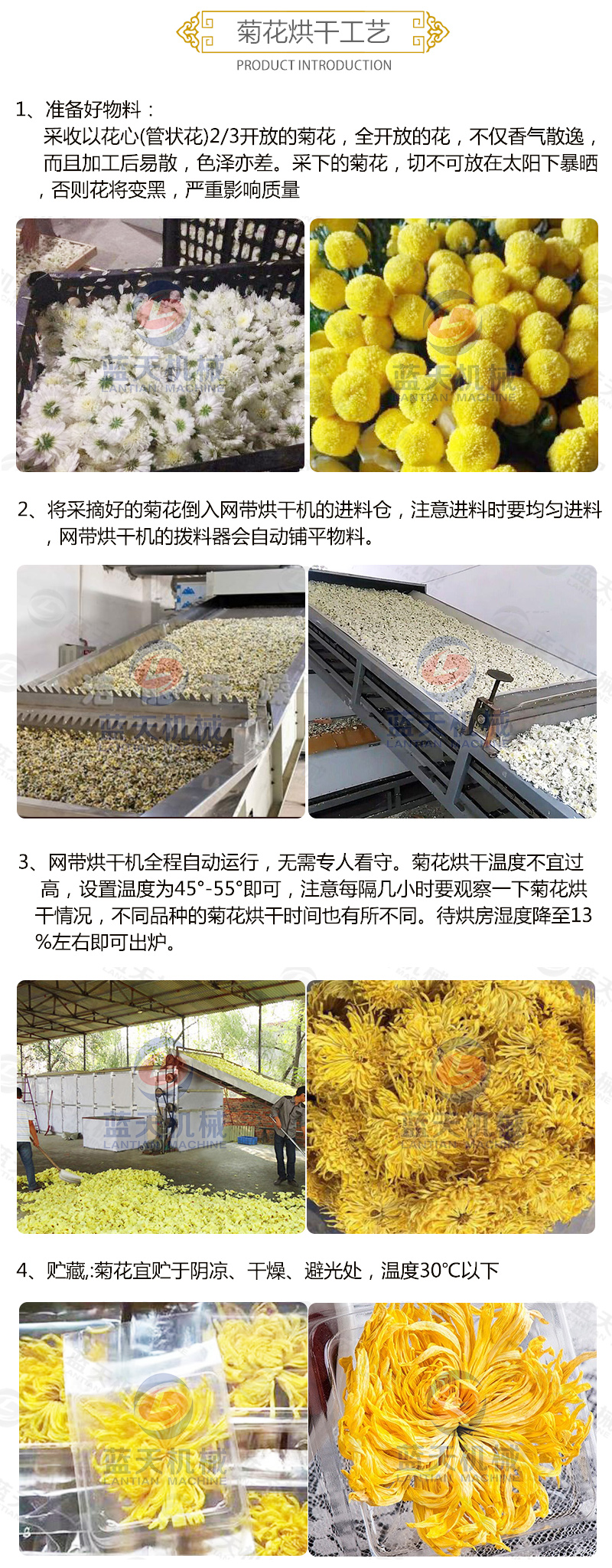 菊花網(wǎng)帶式烘干機烘干工藝