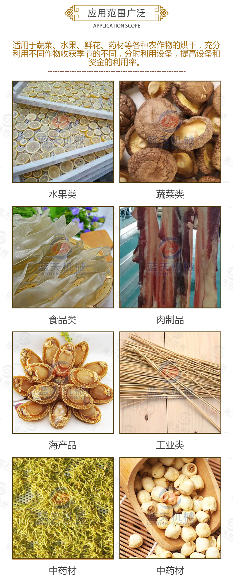 金銀花網(wǎng)帶式烘干機應(yīng)用范圍