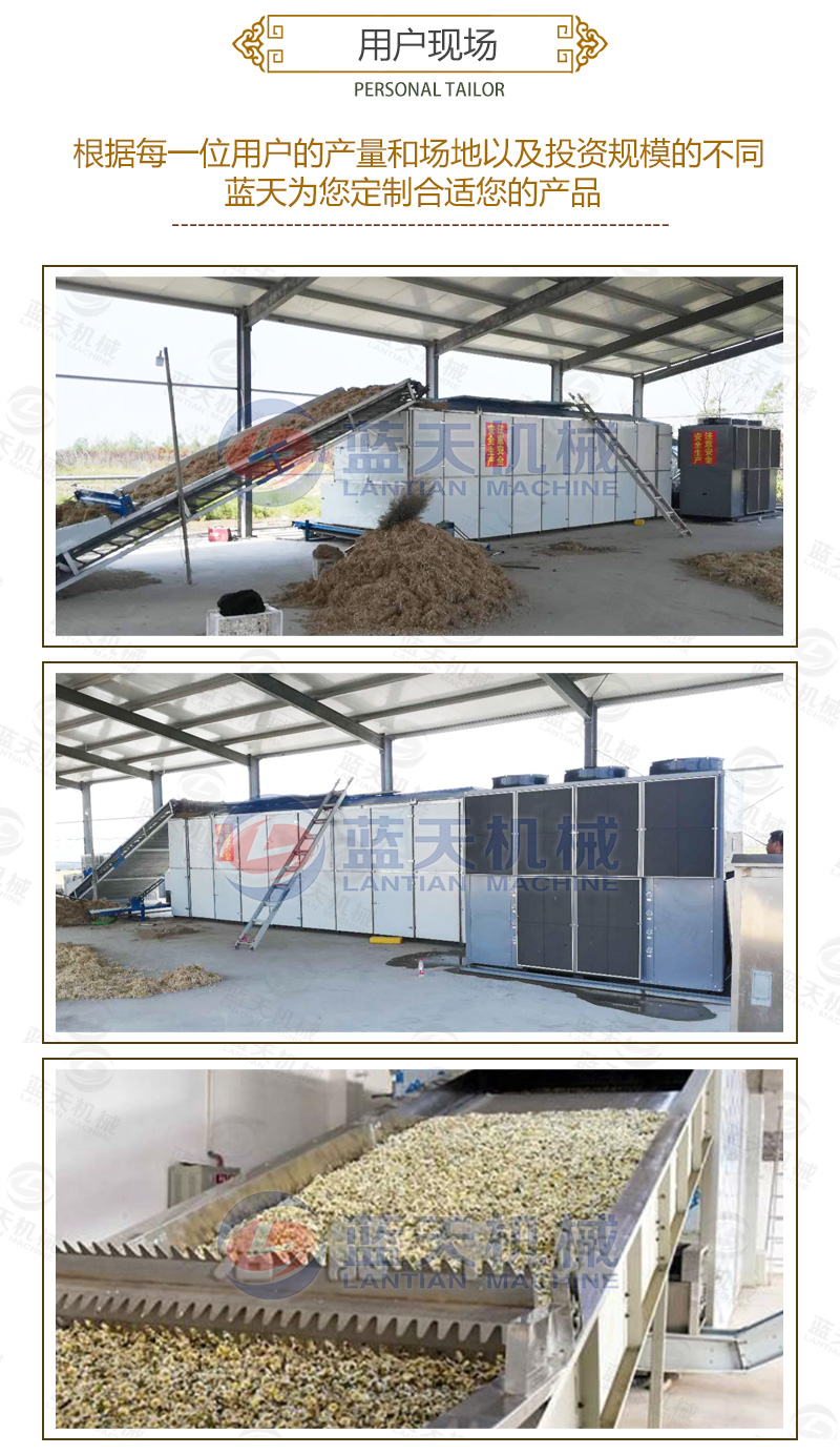 金銀花網(wǎng)帶式烘干機用戶現(xiàn)場