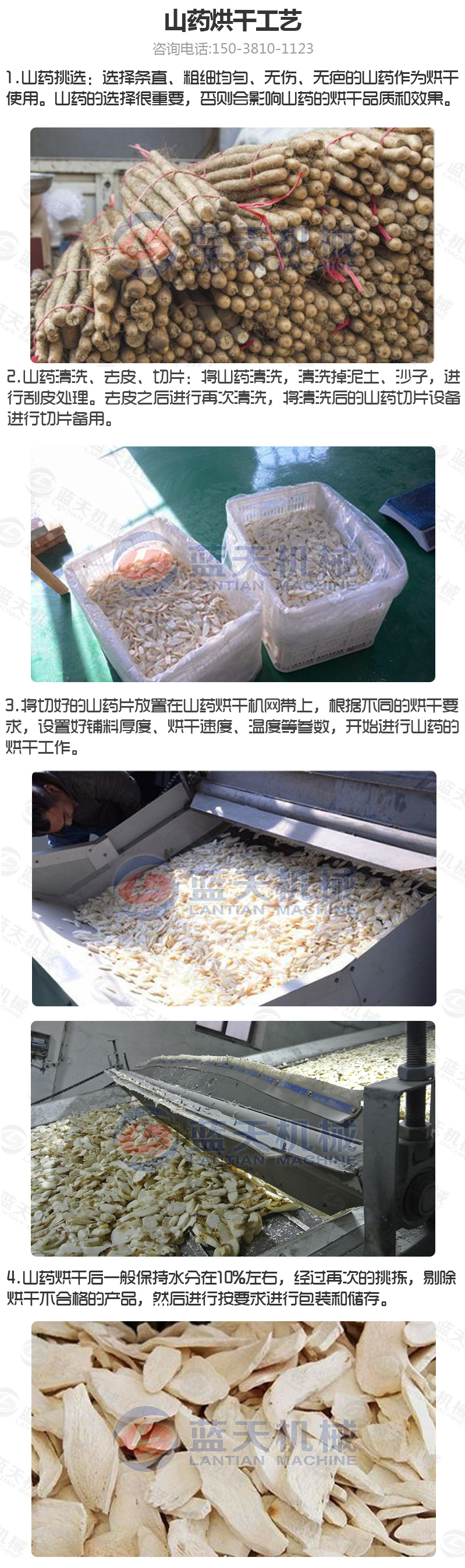 山藥片網(wǎng)帶式烘干機烘干工藝