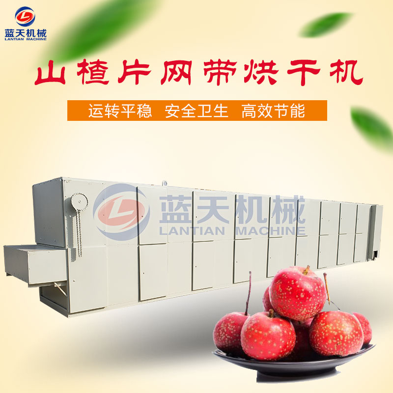 山楂片網(wǎng)帶烘干機
