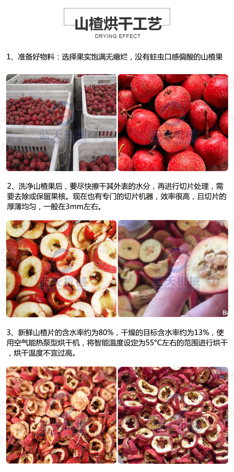 山楂片網(wǎng)帶烘干機烘干工藝