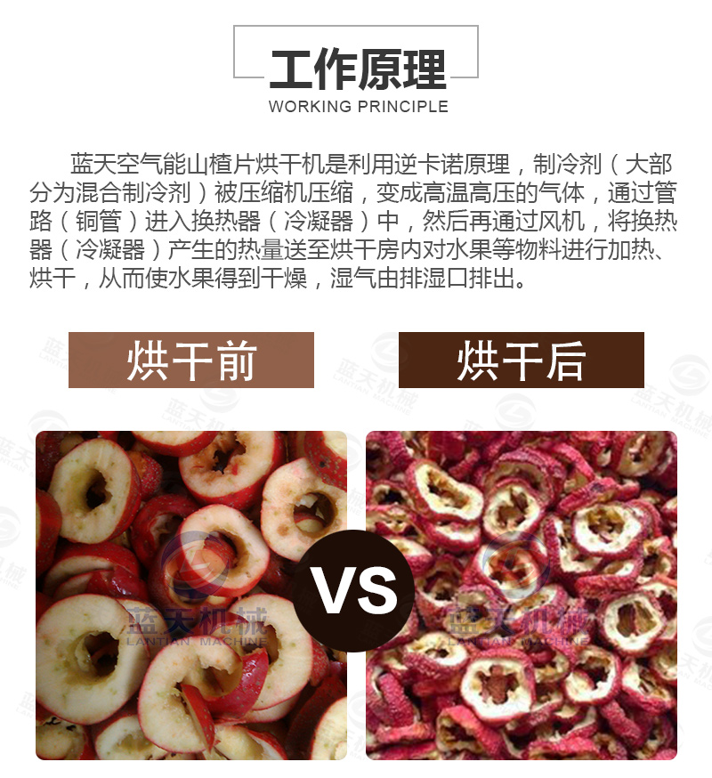 山楂片網(wǎng)帶烘干機工作原理