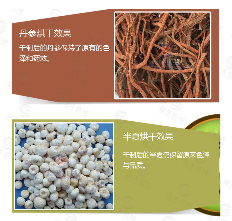 丹參網(wǎng)帶式烘干機產(chǎn)品烘干介紹