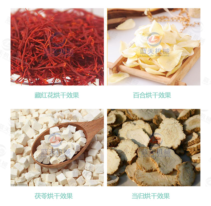 丹參網(wǎng)帶式烘干機烘干效果