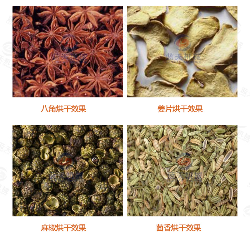 陳皮網(wǎng)帶式烘干機烘干效果