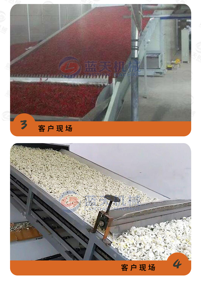 陳皮網(wǎng)帶式烘干機用戶現(xiàn)場