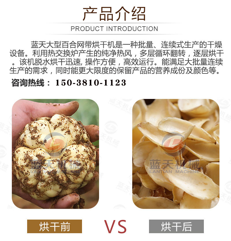 百合網(wǎng)帶式烘干機(jī)產(chǎn)品介紹