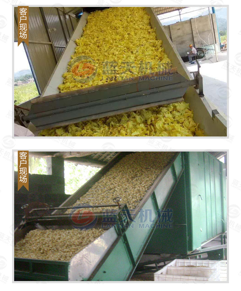 百合網(wǎng)帶式烘干機(jī)用戶現(xiàn)場