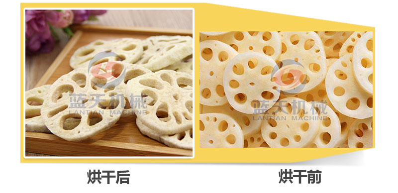地瓜干網(wǎng)帶式烘干機(jī)烘干前后對(duì)比