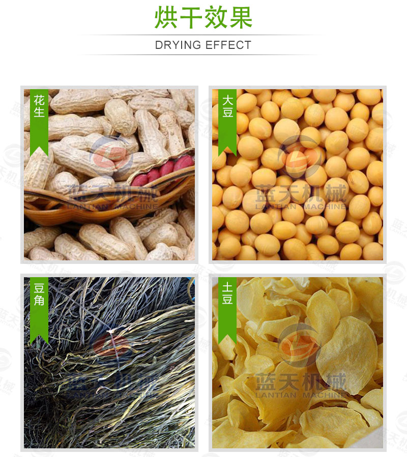 花生網(wǎng)帶式烘干機烘干效果