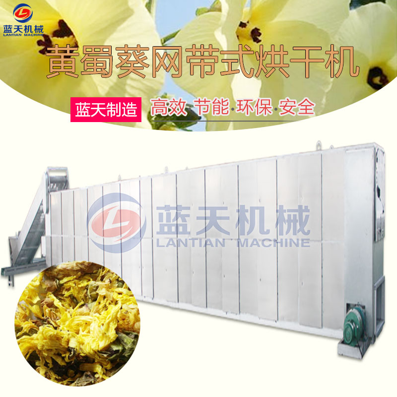黃蜀葵網(wǎng)帶式烘干機