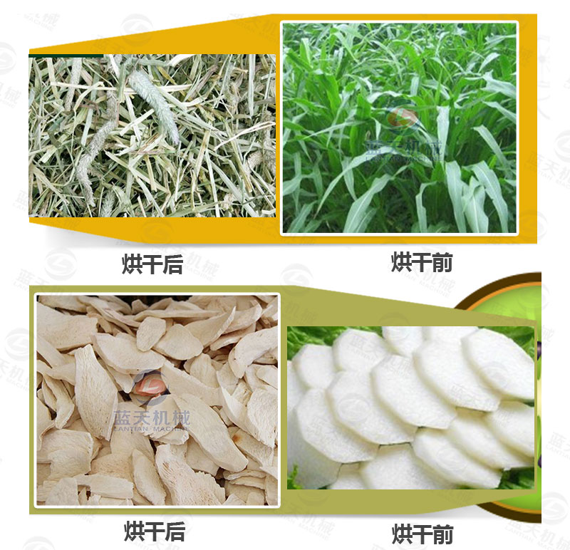 牧草網(wǎng)帶式烘干機產(chǎn)品烘干前后
