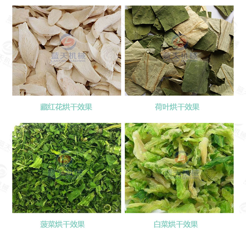 牧草網(wǎng)帶式烘干機烘干效果