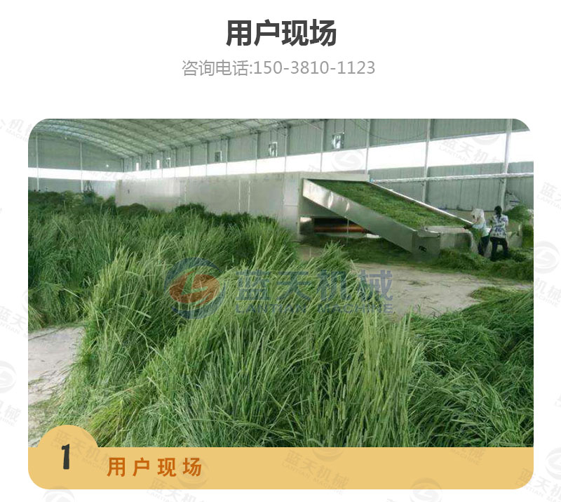 牧草網(wǎng)帶式烘干機用戶現(xiàn)場