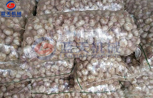 大蒜片烘干工藝