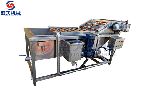 大棗烘干工藝氣泡清洗機