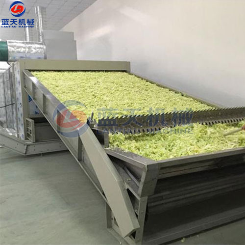 河南蔬菜網(wǎng)帶烘干機(jī)客戶現(xiàn)場