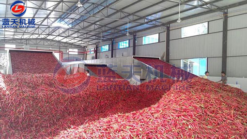 湖南辣椒網(wǎng)帶烘干機(jī)客戶現(xiàn)場(chǎng)