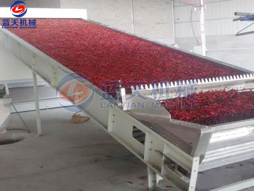 湖南辣椒網(wǎng)帶烘干機(jī)客戶現(xiàn)場(chǎng)