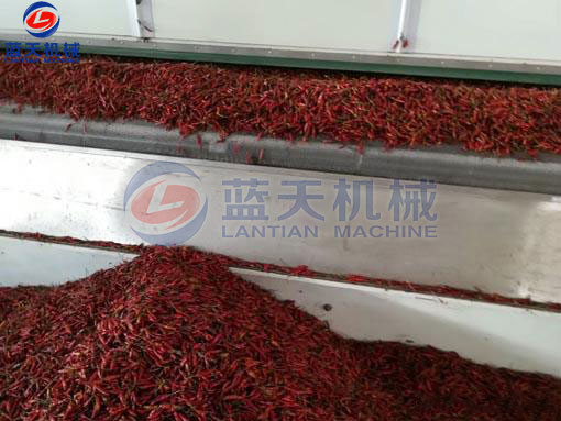 湖南辣椒網(wǎng)帶烘干機(jī)客戶現(xiàn)場(chǎng)