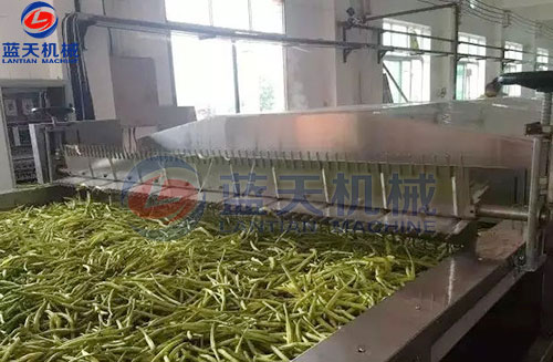 山西黃花菜網(wǎng)帶烘干機(jī)客戶現(xiàn)場(chǎng)