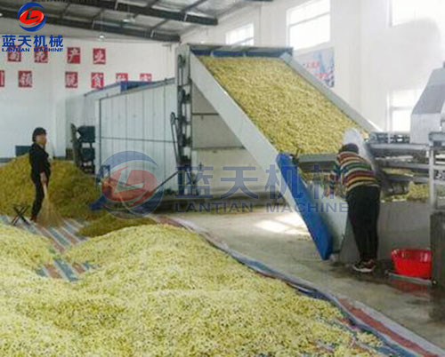 菊花網(wǎng)帶式烘干機(jī)客戶現(xiàn)場