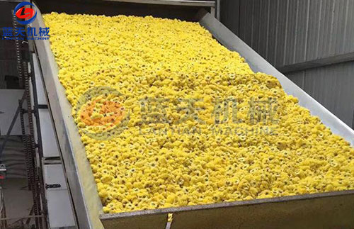 菊花網(wǎng)帶式烘干機(jī)客戶現(xiàn)場