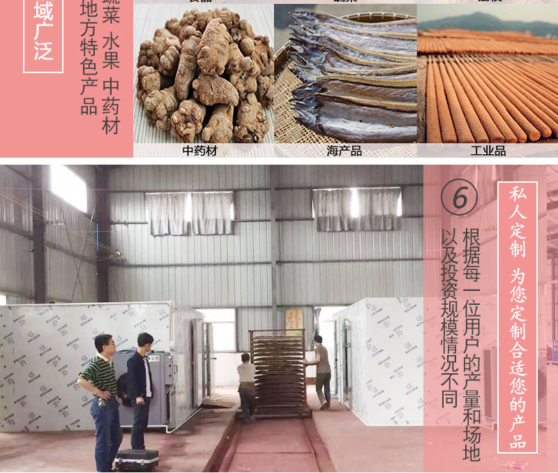 荔枝龍眼烘干機(jī)私人定制