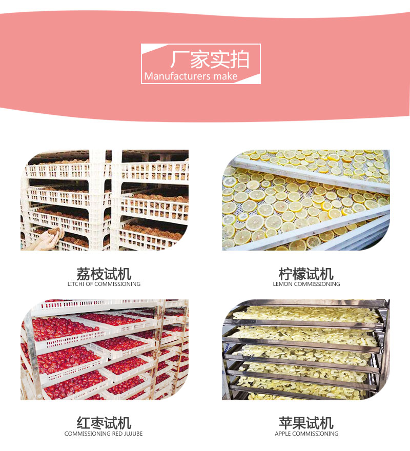 荔枝龍眼烘干機(jī)廠家實(shí)拍